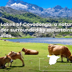 Lagos de Covadonga